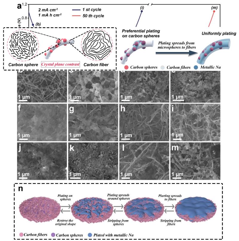 best365英国在线体育官网