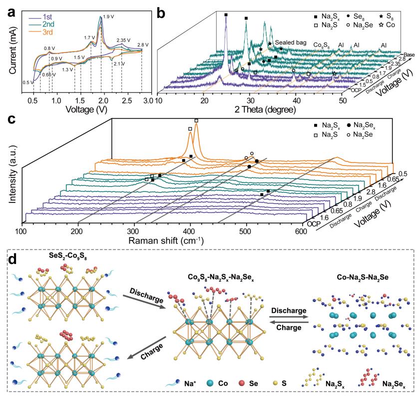 best365英国在线体育官网