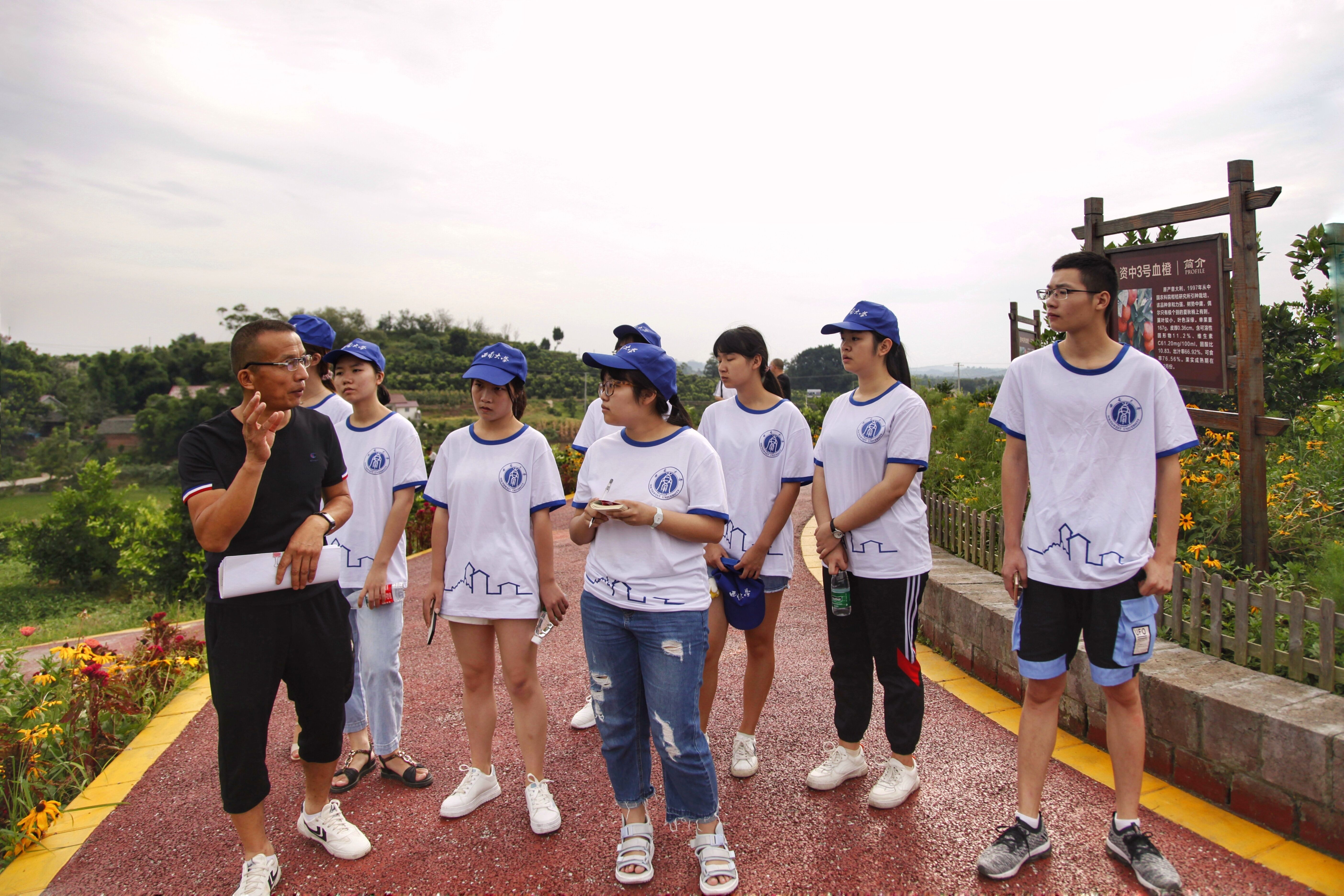 best365英国在线体育官网