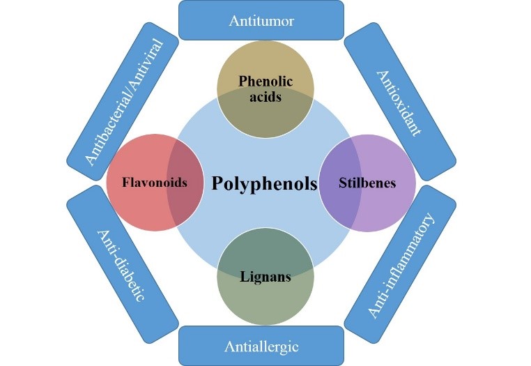 best365英国在线体育官网