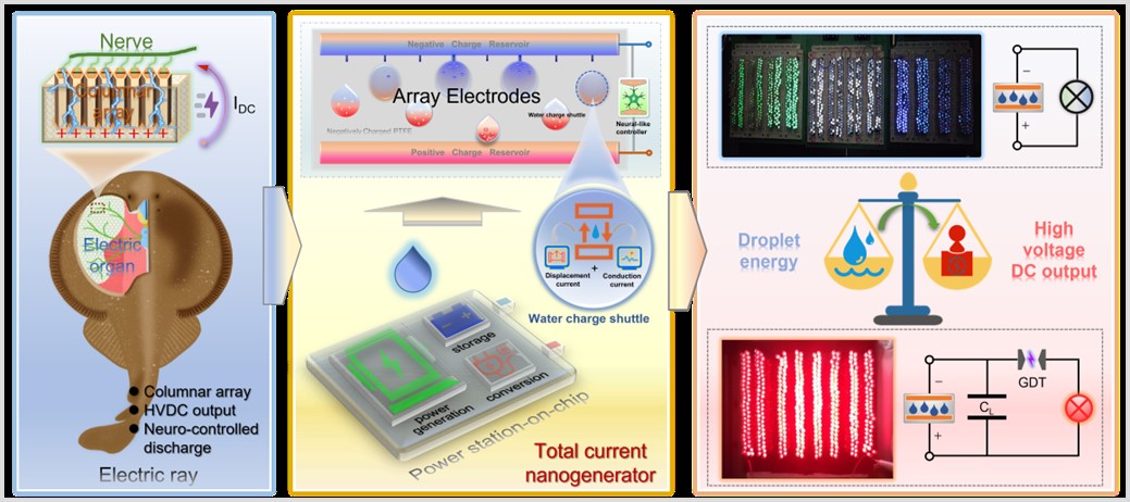 best365英国在线体育官网